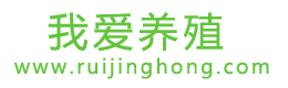 黄沙鳖苗