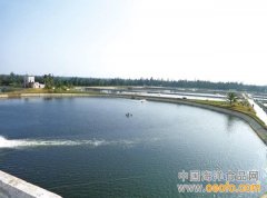 高位池养殖金鲳鱼的管理技术和病害防治方法 (图)