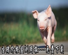 羊疾病防治￥羊的一般常见病