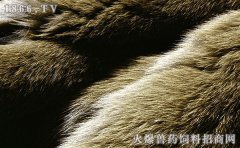 水貂皮草怎么保养，水貂皮草保养方法
