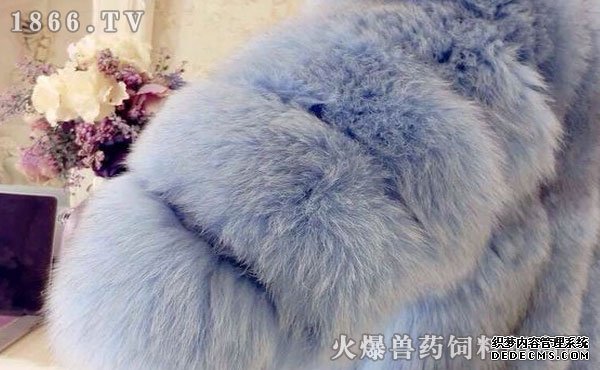    水貂皮草好吗