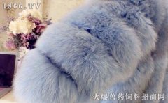 水貂皮草等级的区分