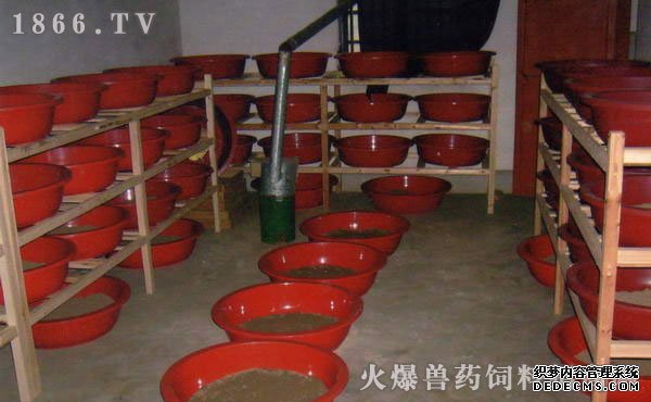 土元是什么