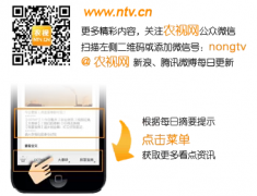 竹鼠的养殖技术和前景