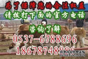 农业养殖养羊计划书养羊项目计划书范本_志趣